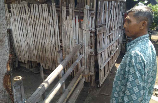 Warga Kota Probolinggo Resah, 15 Ekor Kambing Hilang Dicuri dalam Sepekan