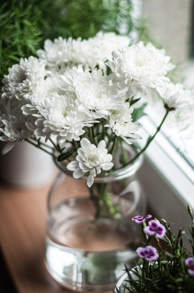 5 Tanaman Hias Berbunga Putih yang Bikin Rumah Makin Cantik saat Lebaran (4)