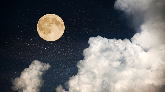 New Moon (Sumber: Canva.com)