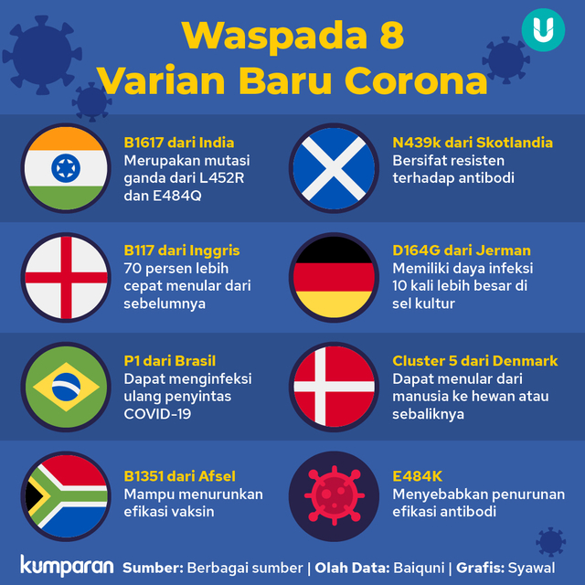 Infografik 8 varian baru corona.
 Foto: kumparan