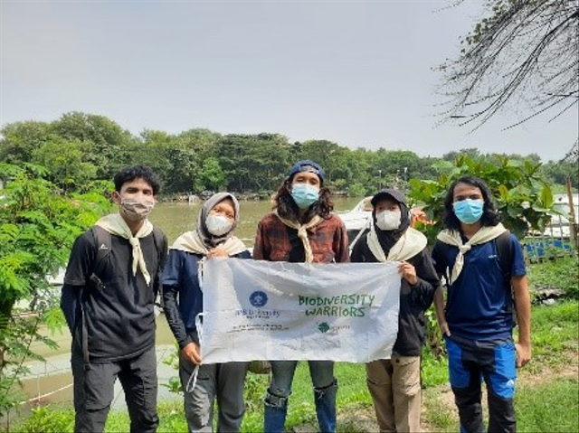 Perayaan Hari Migrasi Burung Sedunia, Lawalata IPB University Amati Burung yang Singgah di Indonesia