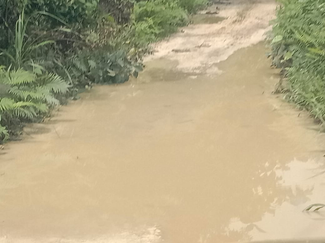 Ruas Jalan di Temsos, Maybrat Akan Menjadi Target Pembangunan Tahun Ini (5264)