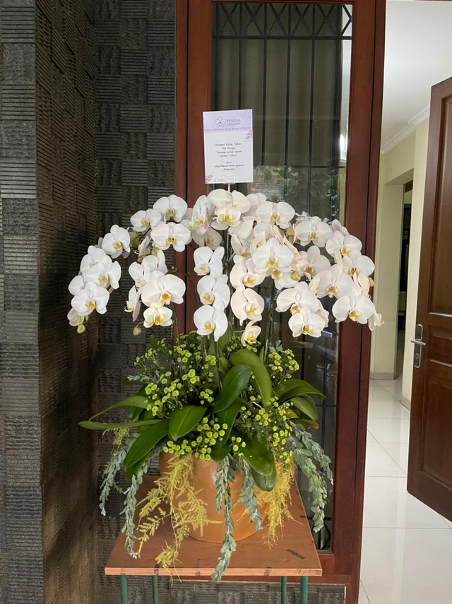 Hadiah Anggrek Putih untuk Ulang Tahun ke-61 Ventje Suardana (86449)