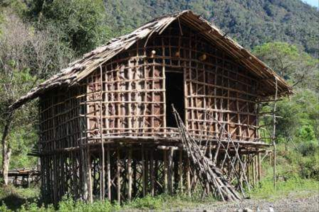 Rumah Adat Papua Barat, Ini 4 Fakta Rumah Kaki Seribu Milik Suku Arfak