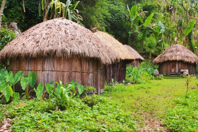 Rumah adat Honai. Sumber: Diskominfo Jayawijaya