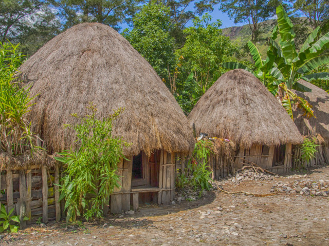 Rumah Adat Honai, Hunian Tradisional Suku Dani | kumparan.com