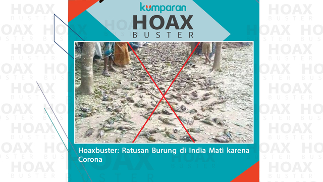 Hoaxbuster: Viral Foto Ratusan Burung di India Mati karena Corona (330706)