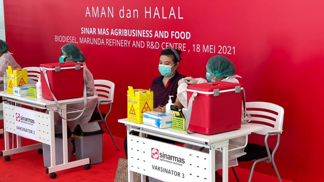 Suasana vaksinasi gotong royong pekerja Sinar Mas Agribusiness and Food, Selasa (18/5). Foto: Sinarmas  