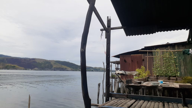 Kayu Soang yang menjadi tiang rumah warga di pesisir Danau Sentani (Dok foto: Hari Suroto/Balai Arkeologi Papua) 