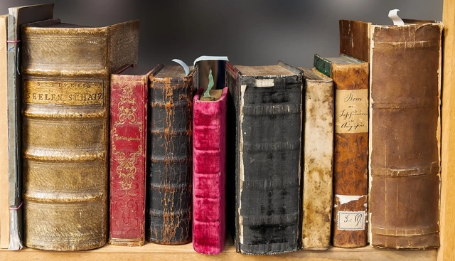 Foto : Ilustrasi membaca buku sebagai upaya meningkatkan taraf literasi. Dok. Pixabay