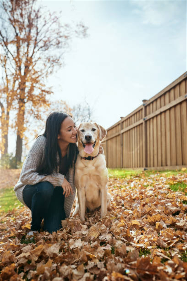 Ilustrasi anjing dan manusia. Foto: Getty Images