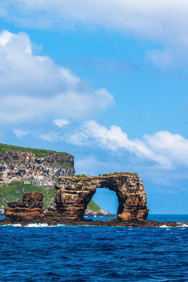 Formasi bebatuan ikonik Darwin's Arch di Kepulauan Galapagos, sebelum runtuh. Foto: Shutter Stock