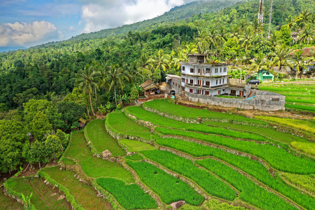 Ilustrasi Menghitung NJOP. Foto: Pexels