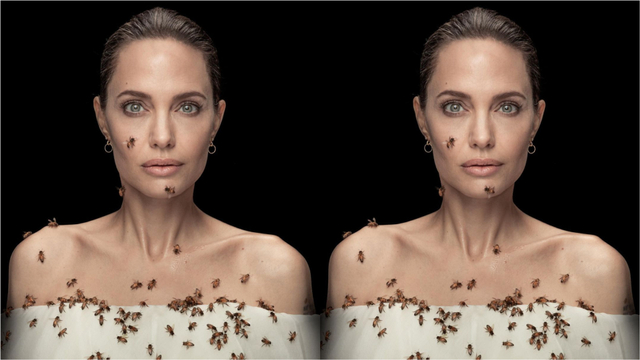 Angelina Jolie foto bersama kerumunan lebah dalam memperingati Hari Lebah Sedunia Foto: Dan Winters/National Geographic