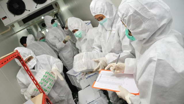 11.540 vaksin telah tiba di Kawasan Industri PT IMIP, Sabtu (22/5). Foto: Istimewa