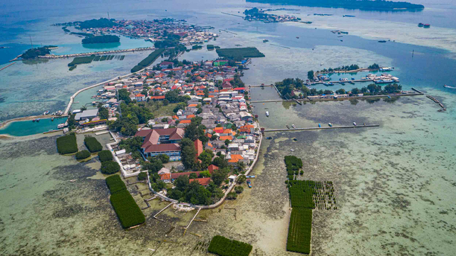 Foto udara Pulau Harapan yang di beberapa titiknya terdapat hutan bakau yang belum lama mulai dirintis warga bersama pemerintah dan sejumlah lembaga di Kabupaten Kepulauan Seribu, DKI Jakarta, Sabtu (22/5/2021). Foto: Aditya Pradana Putra/ANTARA FOTO