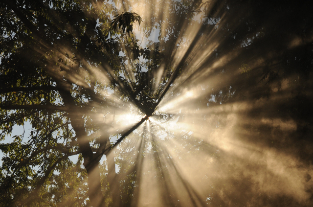 Sifat Malaikat Yang Membedakannya Dengan Manusia Kumparan Com