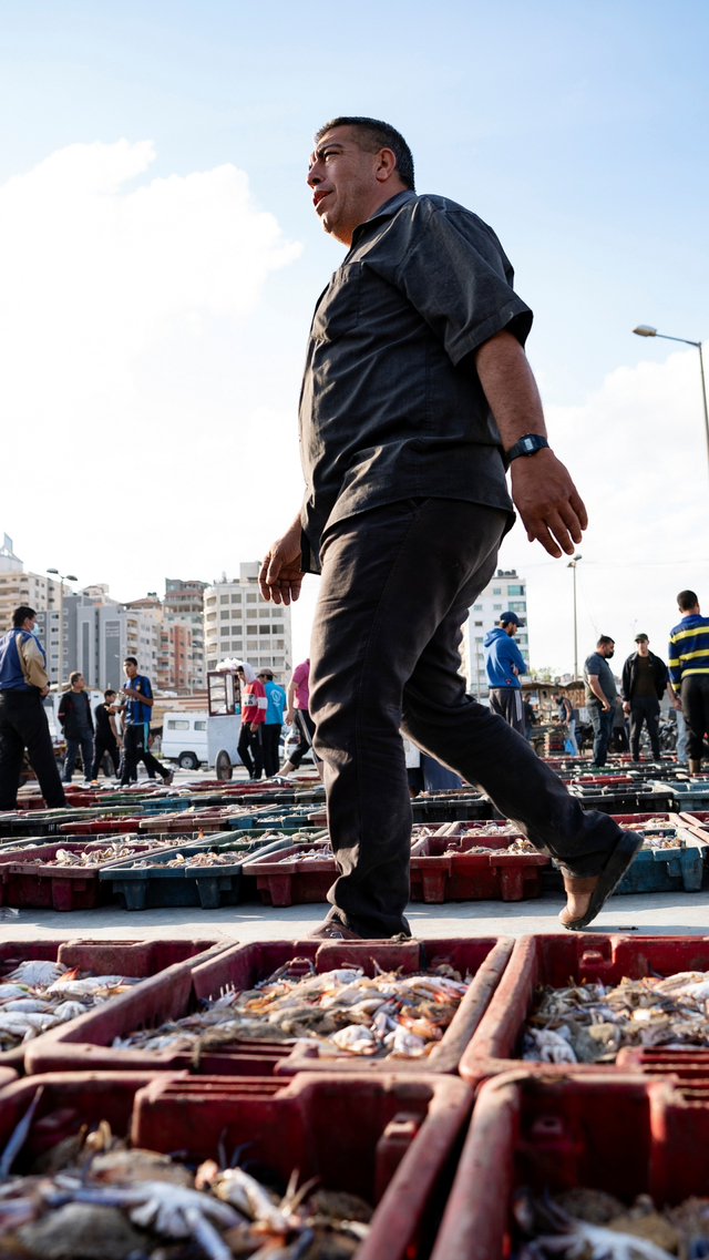 Pembeli melintasi sejumlah tangkapan laut yang dilelang setelah sejumlah kapal diizinkan kembali melaut, di Kota Gaza, Minggu (23/5). Foto: John Minchillo/AP Photo