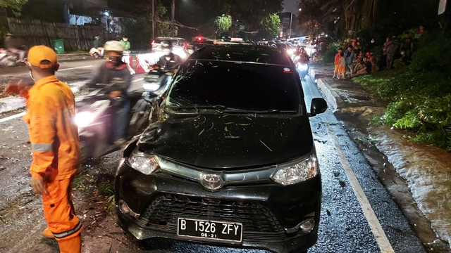 Ada Pohon Tumbang, Arus Lalin dari Antasari ke Cilandak Tersendat (986921)