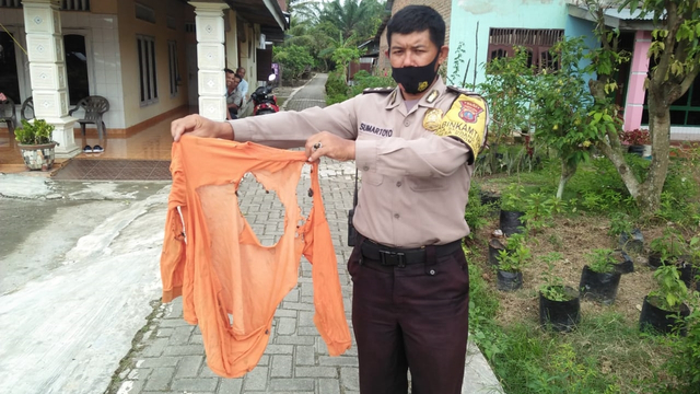 'Kolor Ijo' di Langkat Hendak Mencuri, Beraksi saat Mabuk Tuak (108779)