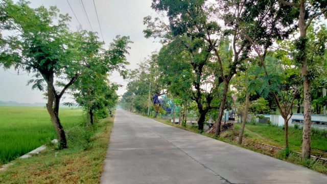 Ilustrasi: Salah satu ruas jalan di Kabupaten Bojonegoro yang telah ditingkatkan pada 2020 lalu. (foto: dan/beritabojonegoro)