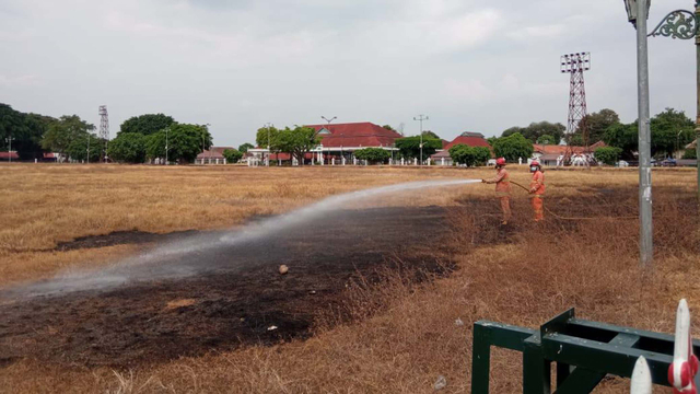 Petugas pemadam kebakaran menyemprotkan air ke tempat kebakaran rumput di Alun-alun Utara Yogyakarta. Foto: Dok Damkar Kota Yogya