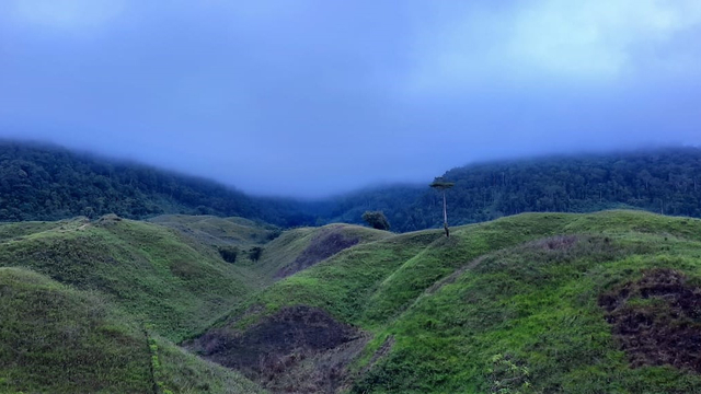 Foto: Indahnya Bukit Teletubbies Di Banggai, Sulteng | Kumparan.com