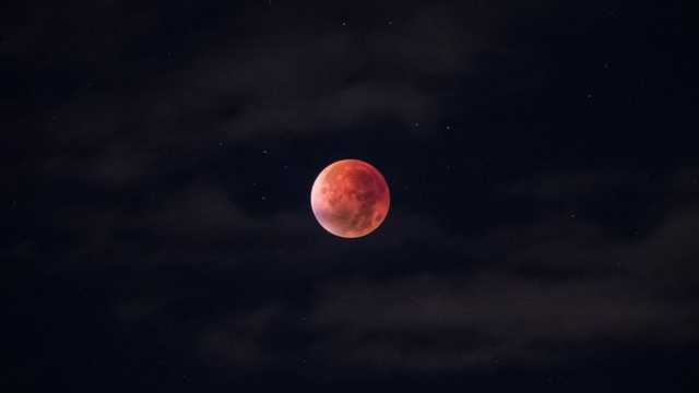 Fenomena langit Super Blood Moon. Foto: Unsplash/@andersjilden