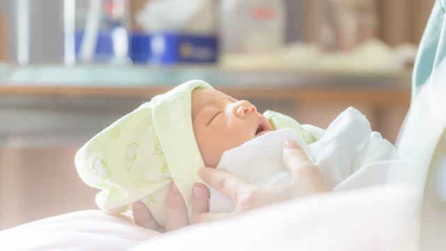 Kenapa Bayi Baru Lahir Banyak Tidur? Ternyata, Penting Bagi Tumbuh Kembangnya! Foto: Shutter Stock