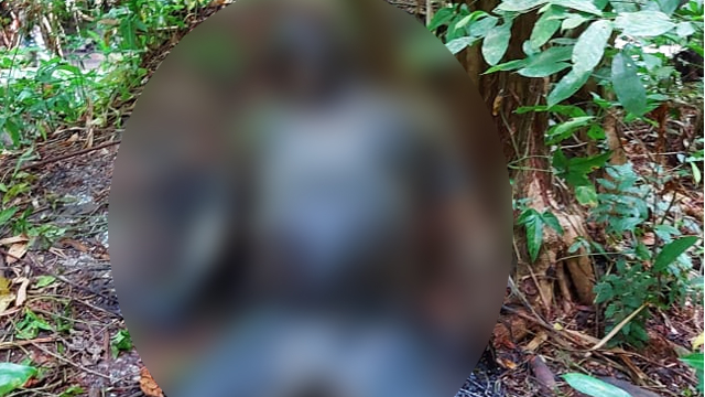 Penemuan jenazah yang diduga adalah FK alias Ferry, oknum diduga  pelaku pemerkosaan dan pembunuhan Marsela Sulu, anak gadis berusia 12 tahun asal Desa Koha, Kabupaten Minahasa, Sulawesi Utara. (foto: istimewa)