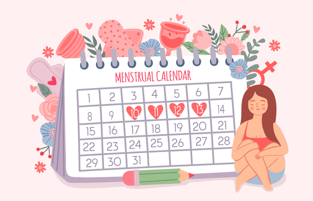 Ilustrasi siklus menstruasi. Foto: Shutter Stock