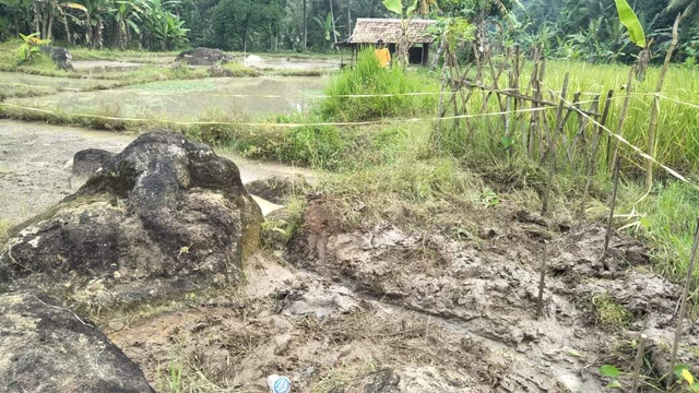 Penemuan patung berbentuk kepala gajah di area persawahan di Kampung Pamatang, Desa Mekarwangi, Kecamatan Saketi, Kabupaten Pandeglang.  Foto: Dok. Istimewa