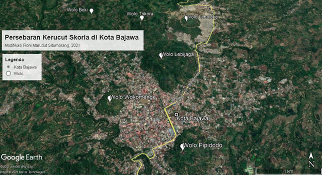 Apakah Ada Kota di Indonesia yang Letaknya di Kompleks Gunung Api? (70222)