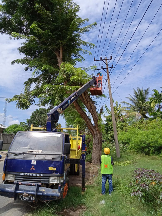 Penyebab Gangguan Listrik di Aceh Didominasi Pohon Tumbang (10767)