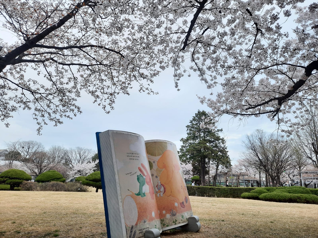 Lokasi Terbaik Melihat Sakura Mekar di Seoul, Korea Selatan (592807)