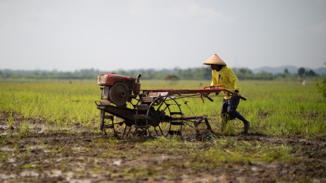 Para petani di Gorontalo Utara diminta untuk memanfaatkan keberadaan Brigade Alsintan, untuk mengatasi terbatasnya ketersediaan alat dan mesin pertanian (Alsintan). Foto: Kementan RI