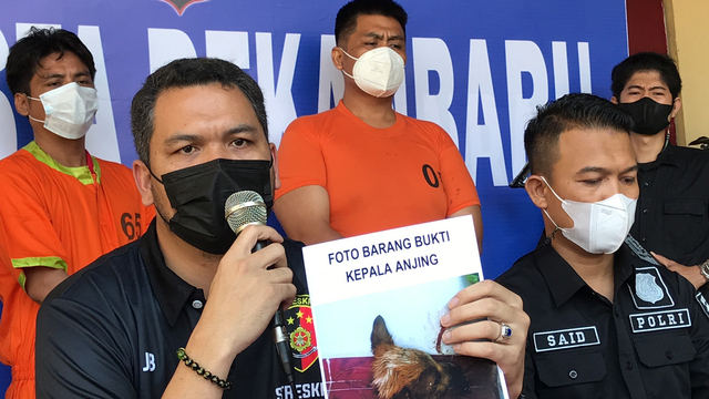 KASAT Reskrim Polresta Pekanbaru, Kompol Juper Lumban, saat memperlihatkan otak pelaku pelemparan kepala anjing ke rumah Kasi Penkum dan Humas Kejati, Muspidauan, Minggu (30/5/2021)