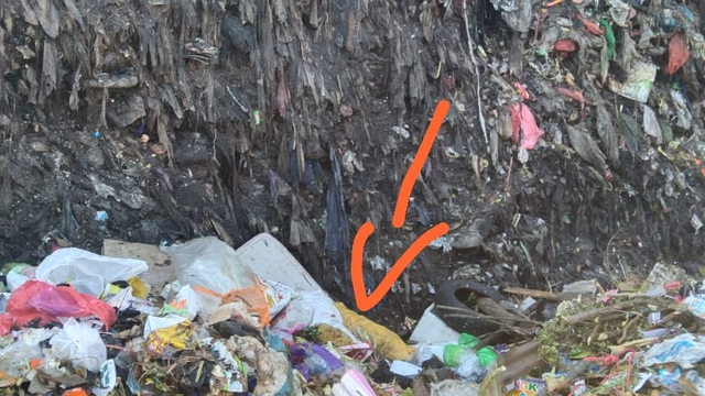 Seorang Pemulung Meninggal Tertimbun Tumpukan Gunungan Sampah di TPA (191513)