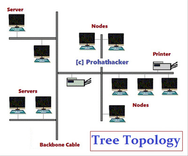 Ilustrasi Topologi Jaringan Komputer Tree. Foto: Anand Rawat via flickr