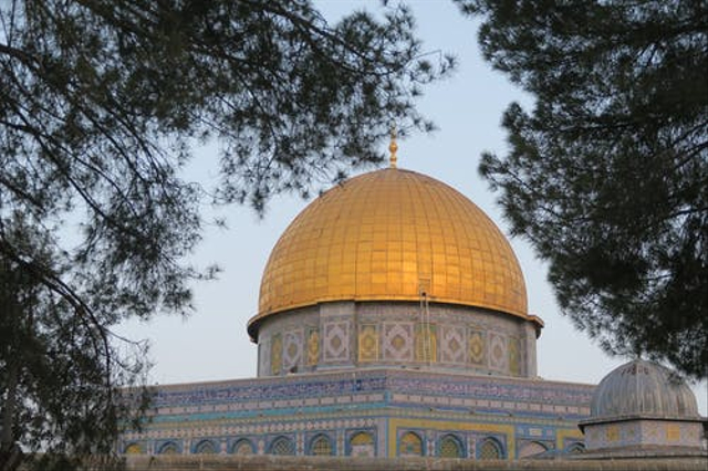 Bagaimana Kabarmu Palestina? (654642)