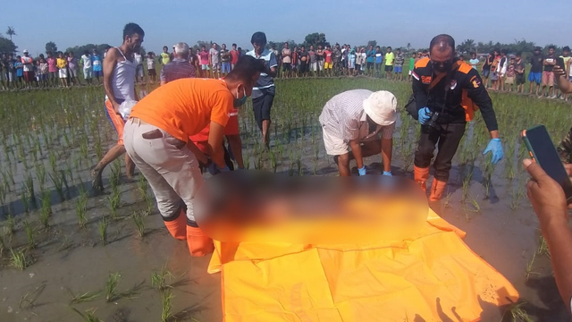 Polisi saat mengevakuasi pria tanpa identitas yang tewas di tengah sawah Desa Ramunia, Pantai Labu, Deli Serdang, Sumatera Utara, Minggu (6/6). Foto: Dok. Istimewa