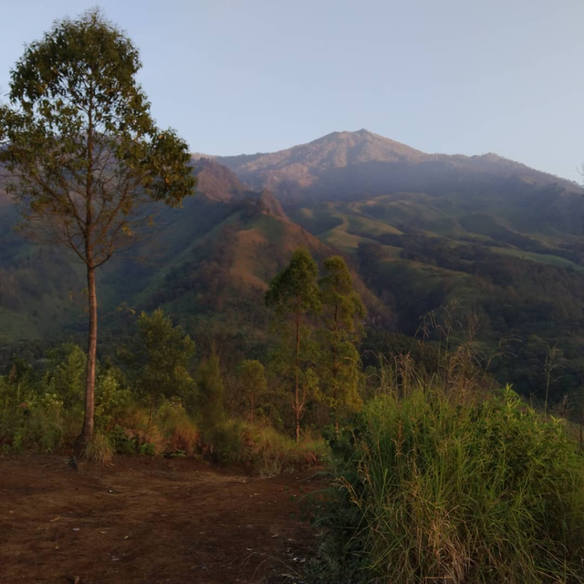 Pemandangan indah ketika mendaki ke Puncak Budug Asu, di Desa Gunungrejo, Kecamatan Lawang, Kabupaten Malang. foto/Rizal Adhi Pratama