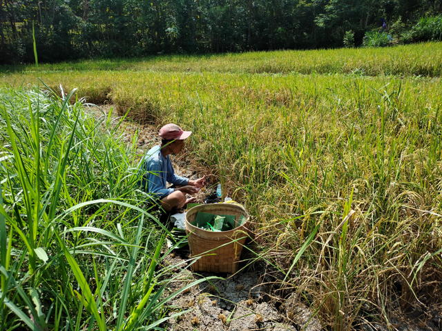 Sumber: Foto pribadi.