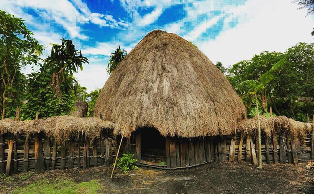 Rumah adat Honai milik Suku Dani. Sumber: Portal Berita Resmi Polri