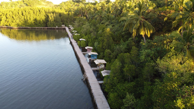 5 Hal yang Bisa Dinikmati di Ekowisata Mangrove Petengoran Pesawaran, Lampung (7)