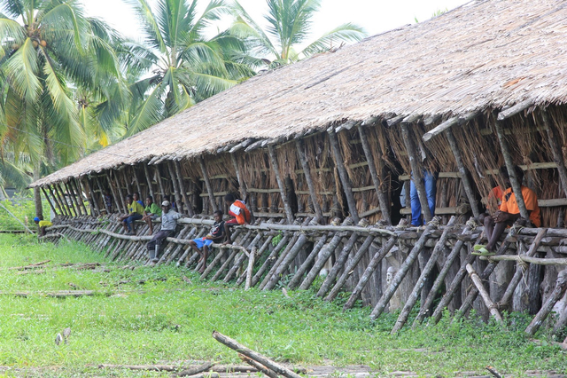 Rumah Adat Papua, Ini 5 Hunian Tradisional Suku Aslinya (159893)