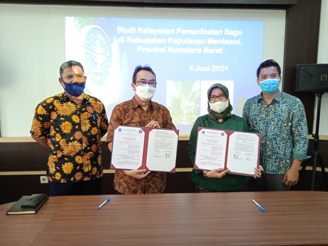 Kembangkan Sagu, Kabupaten Kepulauan Mentawai Jalin Kerjasama dengan IPB University