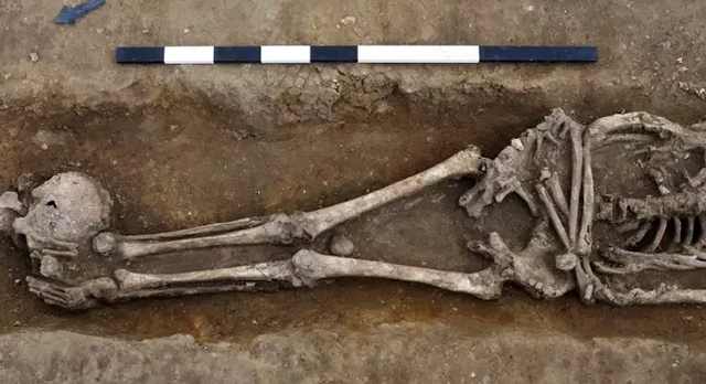 Salah satu kerangka manusia yang dipenggal kepalanya. Foto: Dave Webb/Cambridge Archaeological Unit