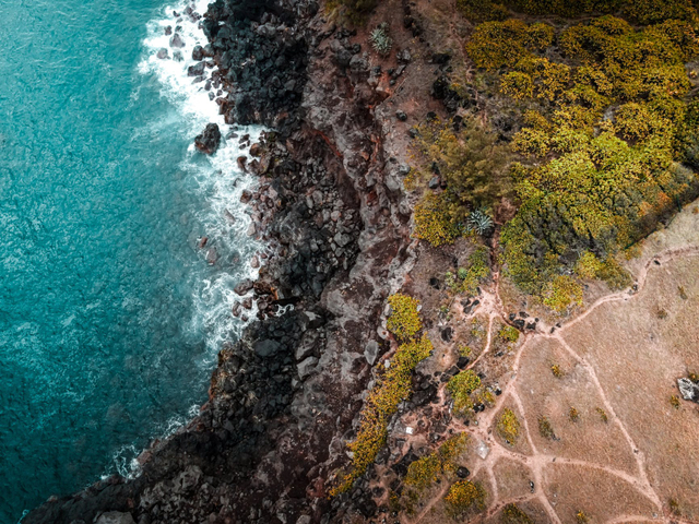 Tempat Wisata di Jogja, Kunjungi 4 Pantai Mempesona Ini (41916)