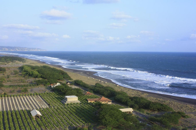 Tempat Wisata di Jogja, Kunjungi 4 Pantai Mempesona Ini (41919)